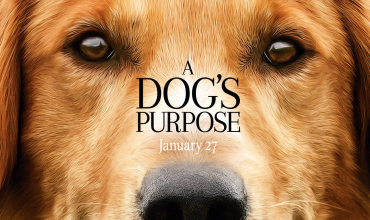 A Dog's Purpose thumbnail