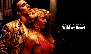 Wild at Heart thumbnail